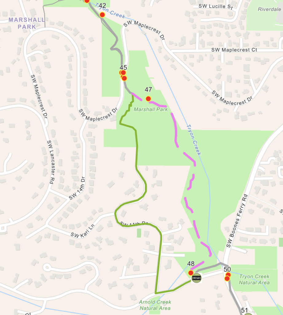2026 Walk Route